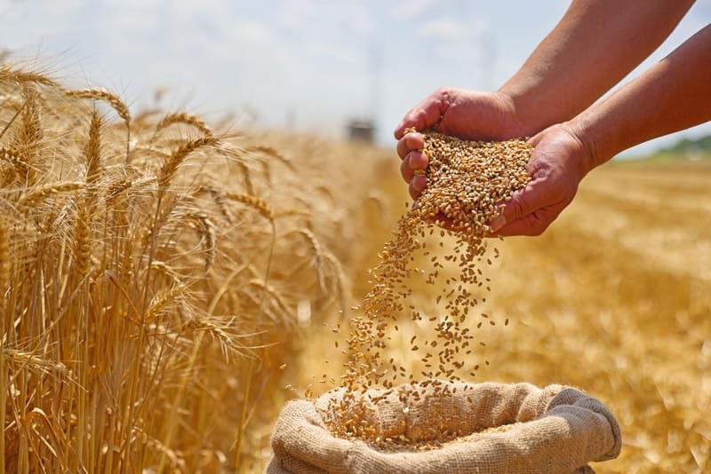 Agricultural trade