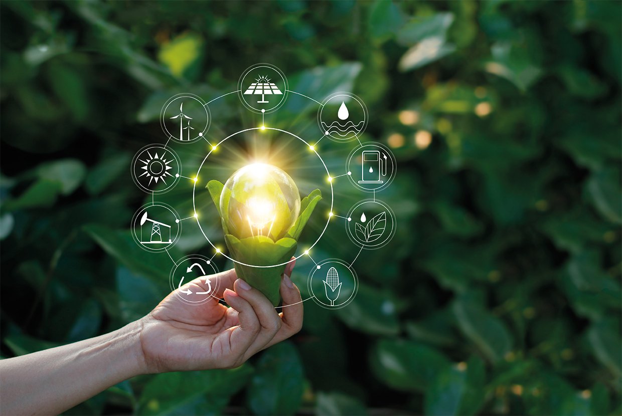 Sustainability projects